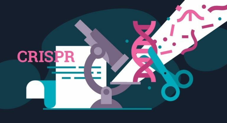 CRISPR―a gene editing tool for the treatment of cancer