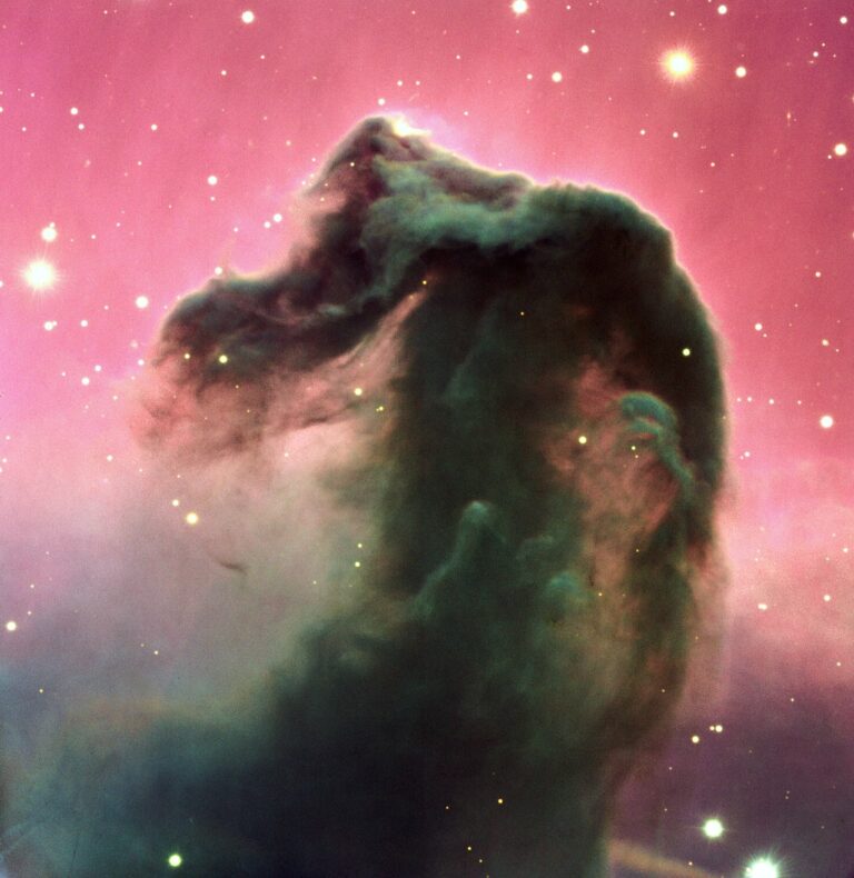 The Horse Nebula