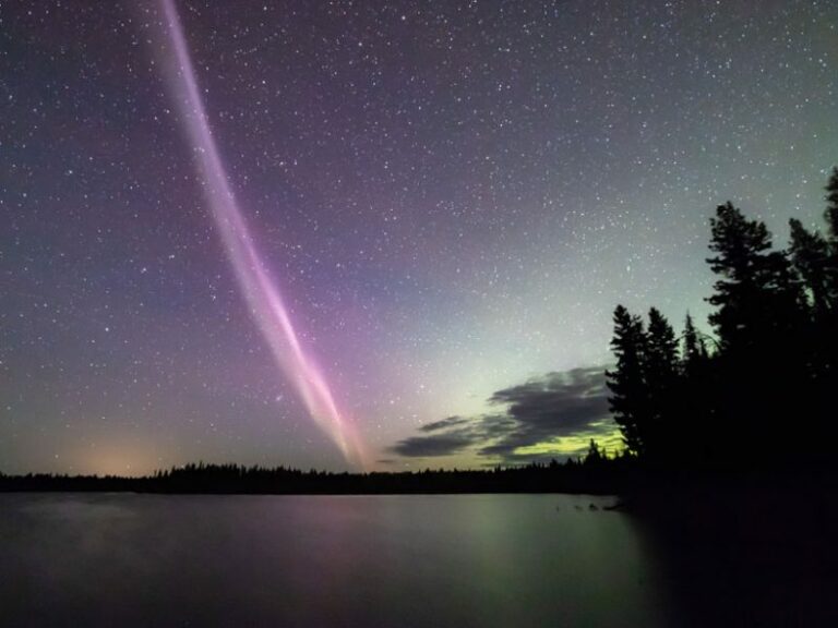 Steve – A new wonder in the night skies