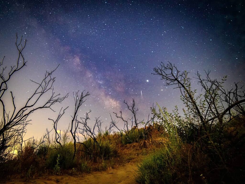 Above a grassy pathway, an alpha capricornid meteor shower can be seen just a bit right from the center