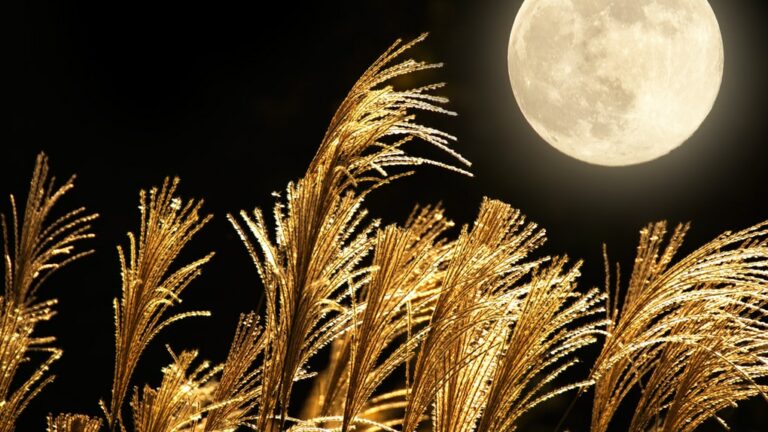 A Rare full moon will light up Tonight