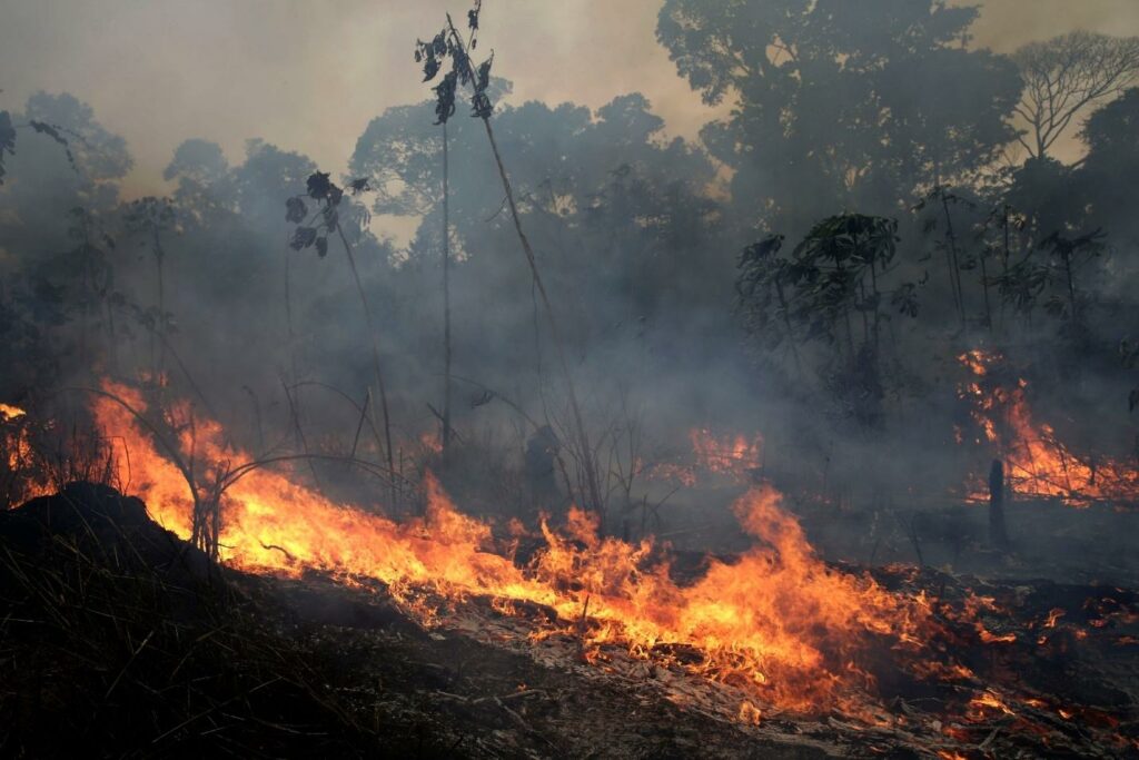 Amazon forest fire devastation