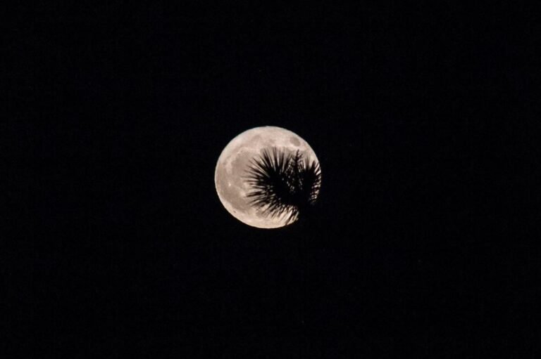 Hunter’s Moon – The ultimate celestial event in October - Scientia Magazine