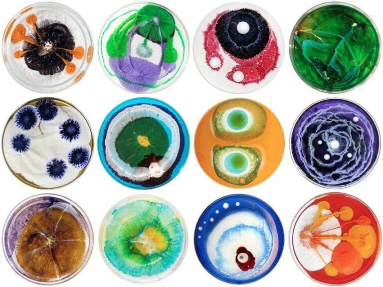 Microbial Creativity: A beautiful fusion between science and art!