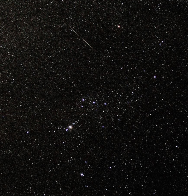  Michael Boyle Sr. caught an Alpha Monocerotid speeding through Orion. 