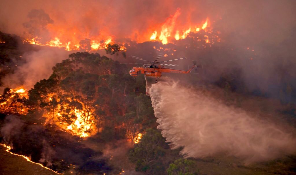 Australian firefighters are doing their best to control the wildfires