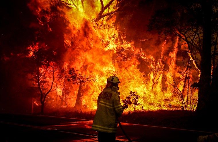 Fires have ravaged millions of acres in Australia