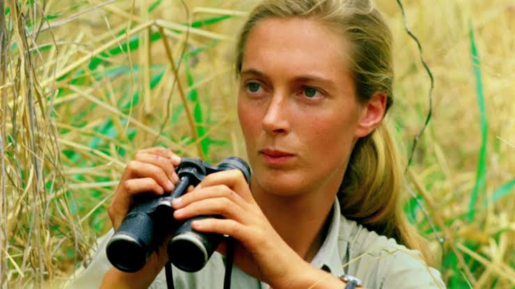 A look into the extraordinary life and work of Jane Goodall - Scientia ...