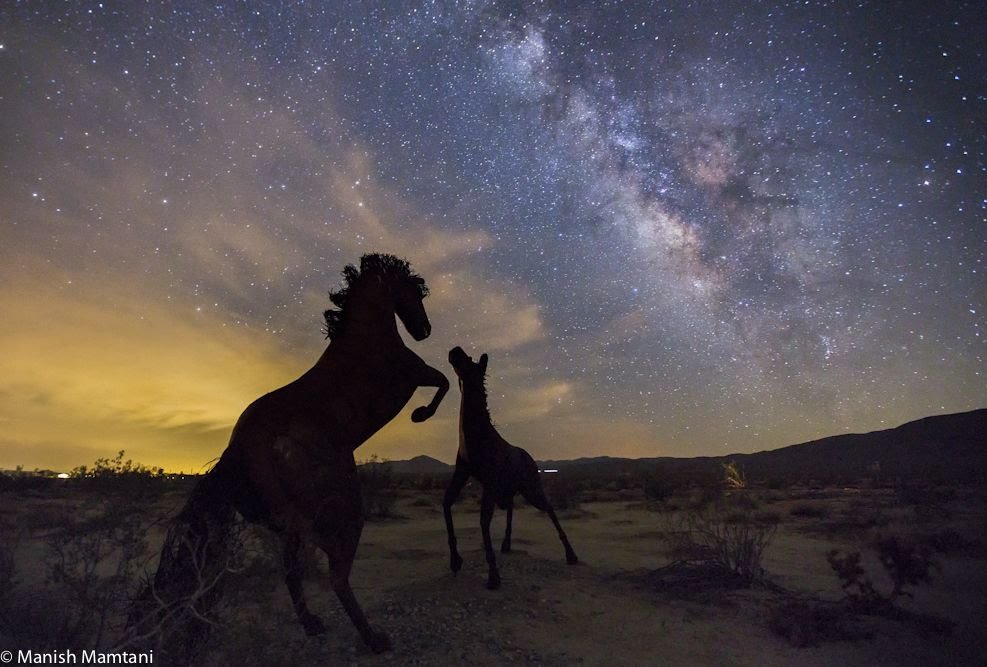 These horse statues look almost real in this stunning shot from astrophotographer Manish Mamtani. These sculptures captured under the Milky Way are created by artist Ricardo Breceda.  