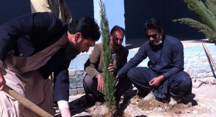 Balochistan tree campaign