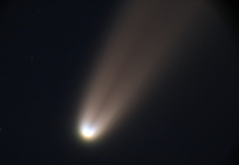 The Buzz of a Space Wonder: Comet Neowise