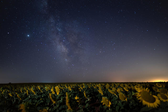 The Perseids shower over a sunflower field in Brihuega, Guadalajara, Spain. 
MARCOS DEL MAZO/LIGHTROCKET VIA GETTY IMAGES