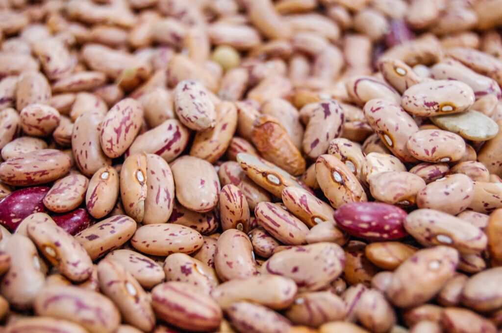Antinutrients: Lectins are present in high amounts in beans and wheat, causing bloating and indigestion