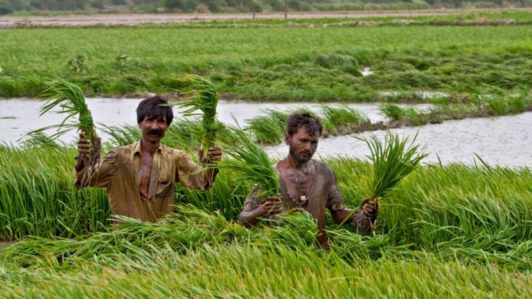 An interview with Dr. Pervaiz Amir on the role of water in Pakistan’s agro-based economy