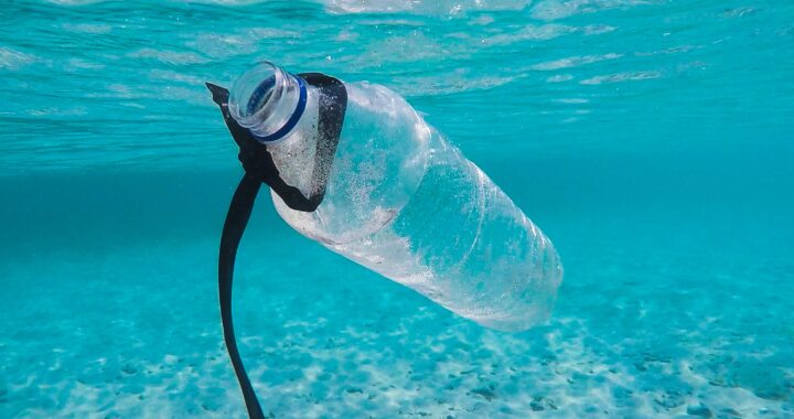 Plastic Pollution