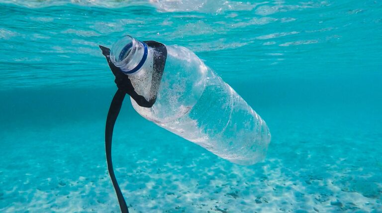 Man vs Nature: How Plastic Pollution is Desecrating World’s Seas and Oceans