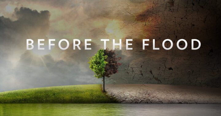 Before the flood