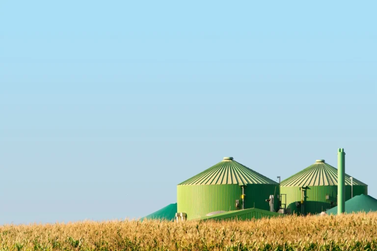 Bioenergy — A Potential Solution to Energy Shortage Amid Climate Emergency