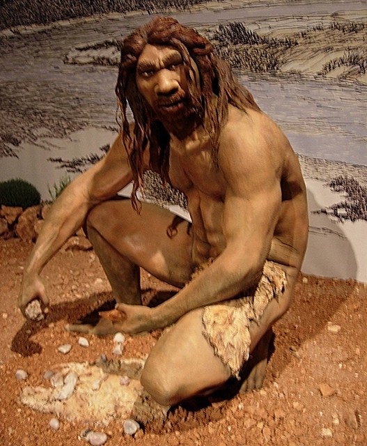 Homo heidelbergensis was the first prehistoric human whose brain size was equal to ours.