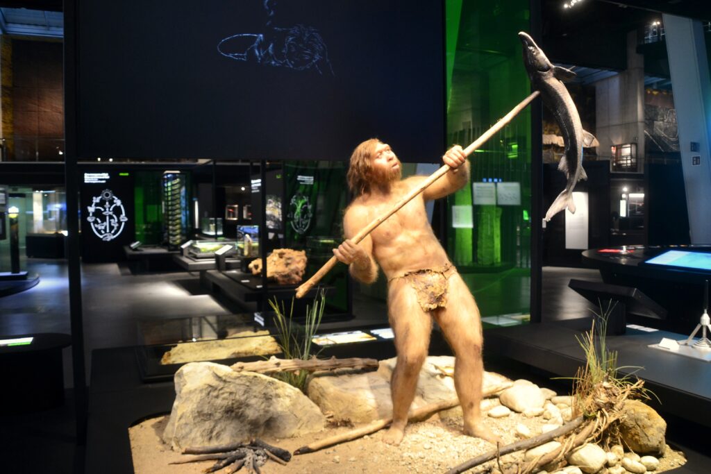 Homo erectus (working man) appeared around 1.5 million years ago.