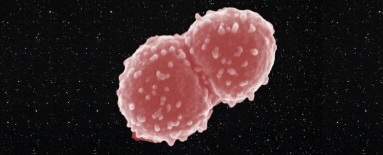 Astrobiology: Microscopic life on a macroscopic scale