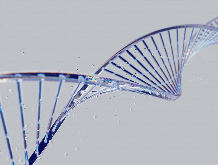 Looking closely at the inner structure of the DNA, we are surprised to find “Suicide Genes” that are responsible for automatically turning off the cell machinery at a certain time frame. 