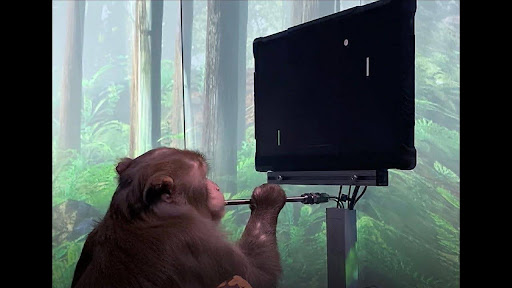 Monkey Playing ‘Pong’ Using Only Its Brain Source: Neuralink
