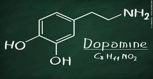 The chemistry of the brain is altered in many cases of severe or chronic drug abuse to an extent where dopamine levels fall during routine activities such as sex, favorite meal etc.