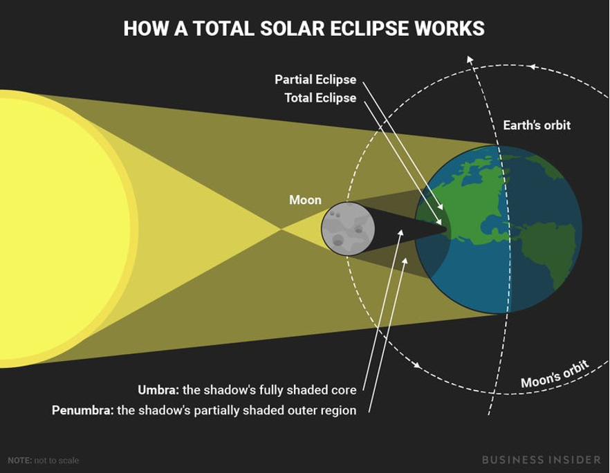 A visual depiction of how a total solar eclipse works. Credit: Business Insider