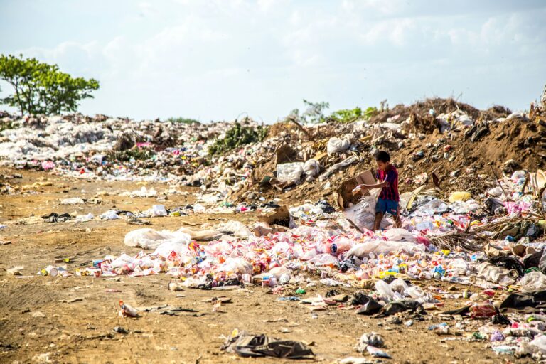 Global Waste Management Challenges: Can Blockchain Provide a Solution?