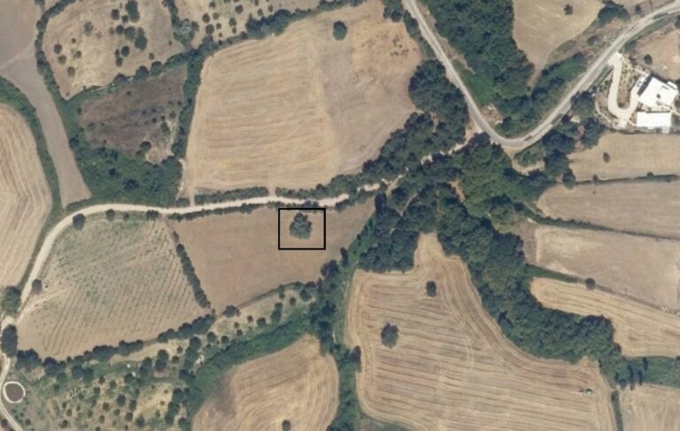 The Hotter, Not the Better— Lessons from a Heartbroken Turkish Story