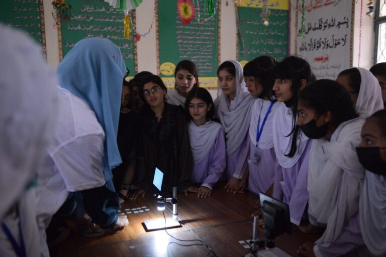 The STEM Whisperer: The Role of Female Tutors in Attracting More Women