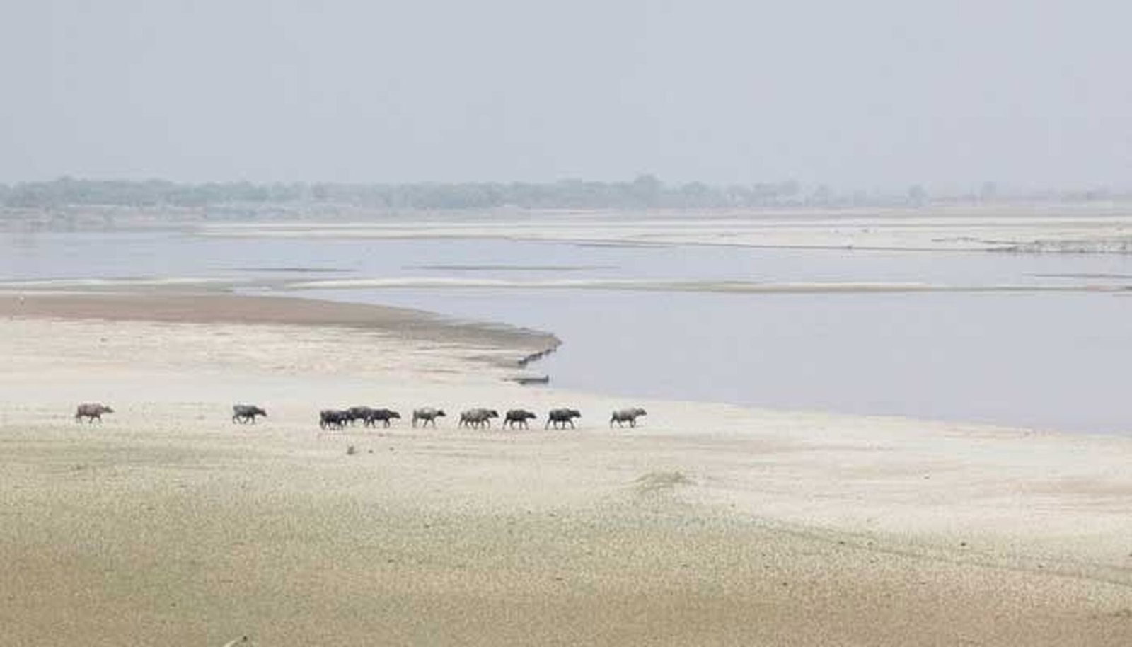 Sindh’s Flood Crisis: A Stark Reminder of Indus Delta’s Vulnerabilities ...