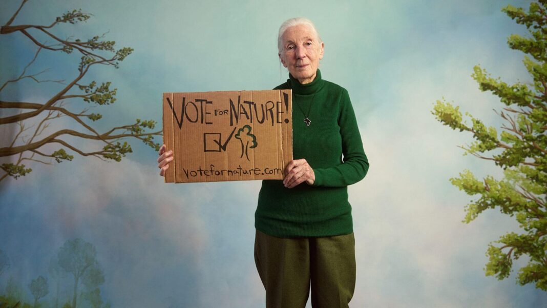 Jane Goodall