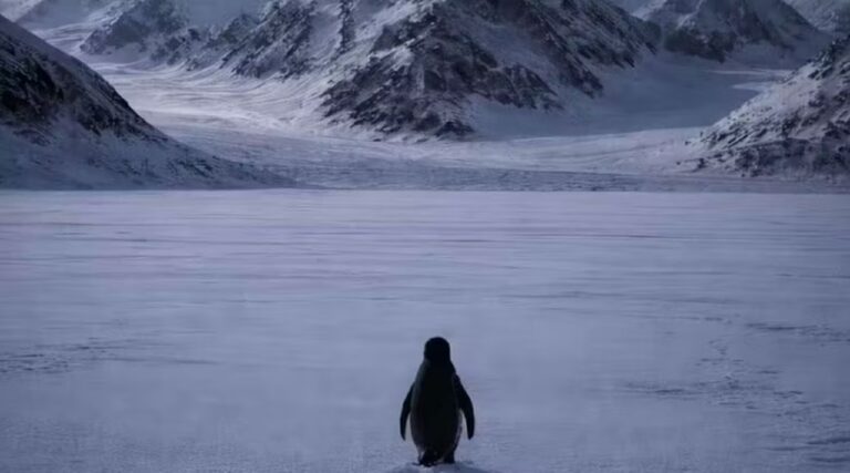 Adélie Penguin Weird Behaviors from Climate Change