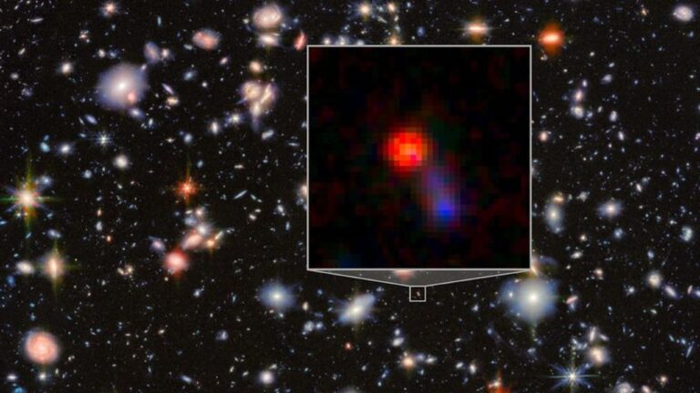 JWST observed dozens of Little Red Dots that may be Black holes in early Universe