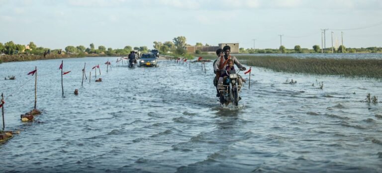 Pakistan’s Climate Migrants: A Window into an Escalating Crisis