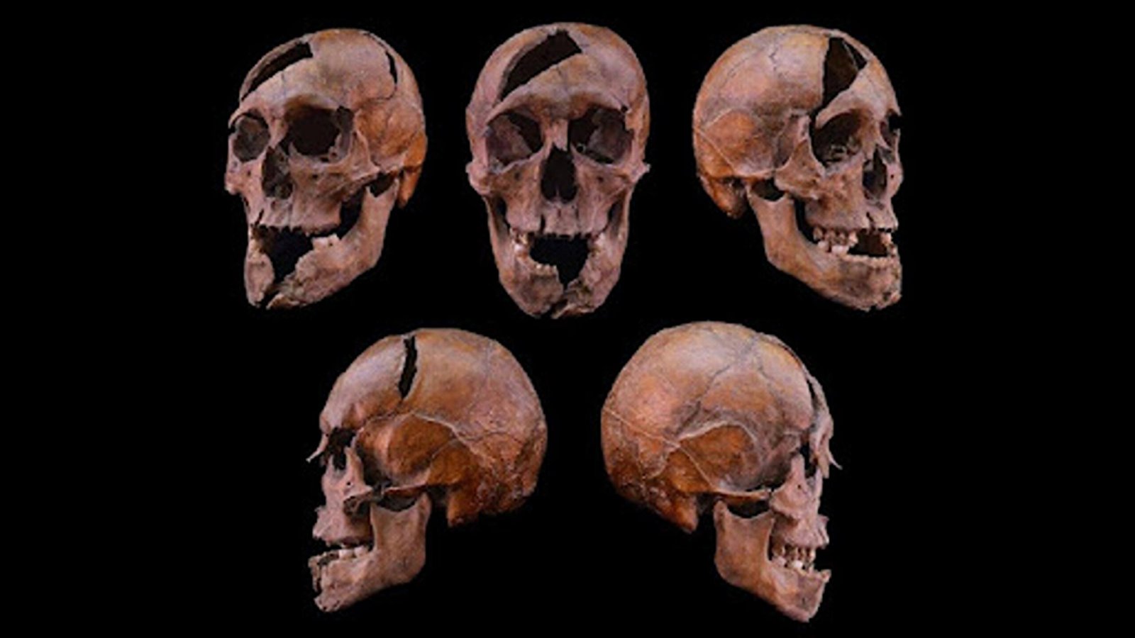 archaeology
