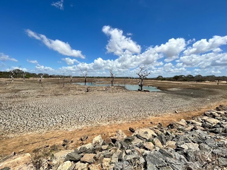 When Water Turns to Conflict: A Global Story of Scarcity, Security, and Violence