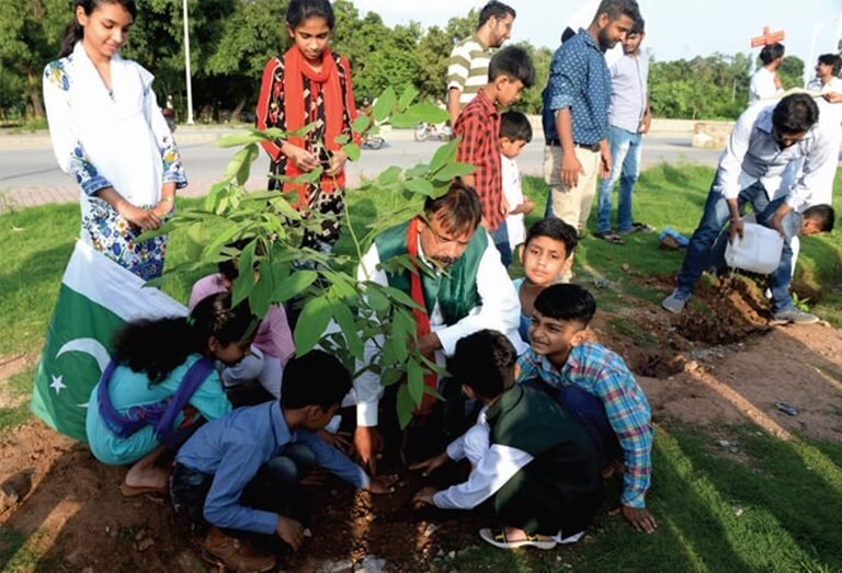 Tree Planting Challenges: What the Greenfluence Survey Reveals