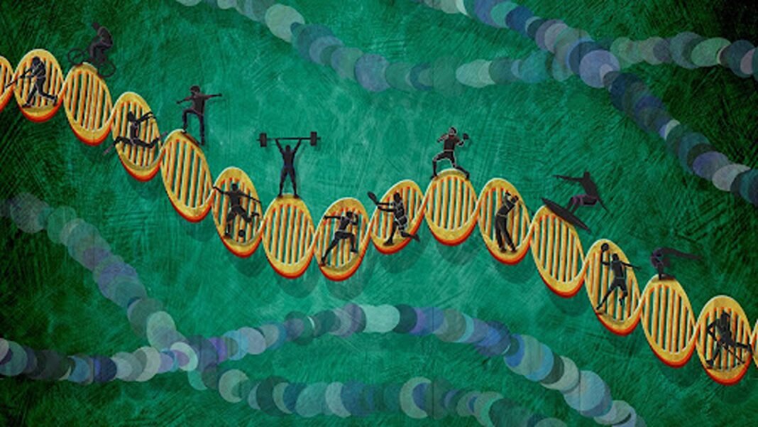 genetics and sports genetics